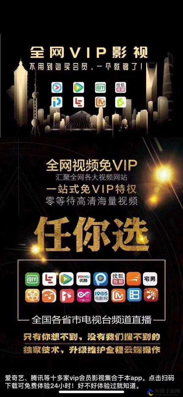 神秘电影 VIP5 条通道在哪揭秘