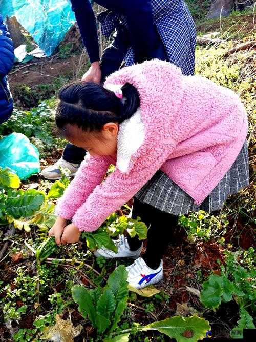 12 岁女孩拔萝卜：有效方法大揭秘