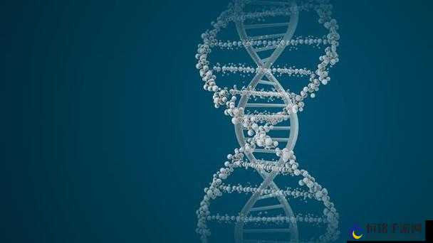 母亲和儿子的 DNA 一样吗：探究亲子关系的奥秘