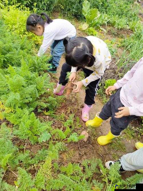 女孩子体验拔萝卜感觉的方法