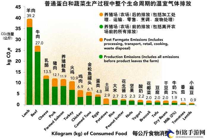 OVO 食肉家庭摄取报告：详细数据与分析