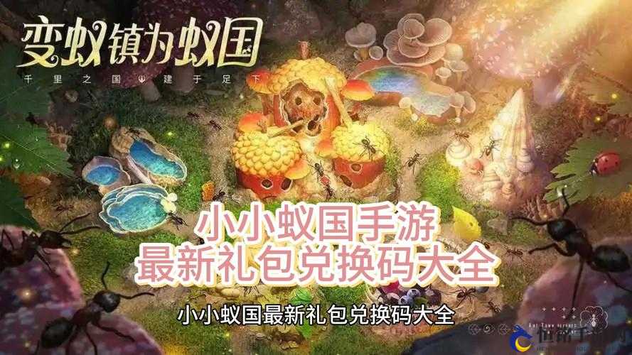 小小蚁国兑换码的使用方法