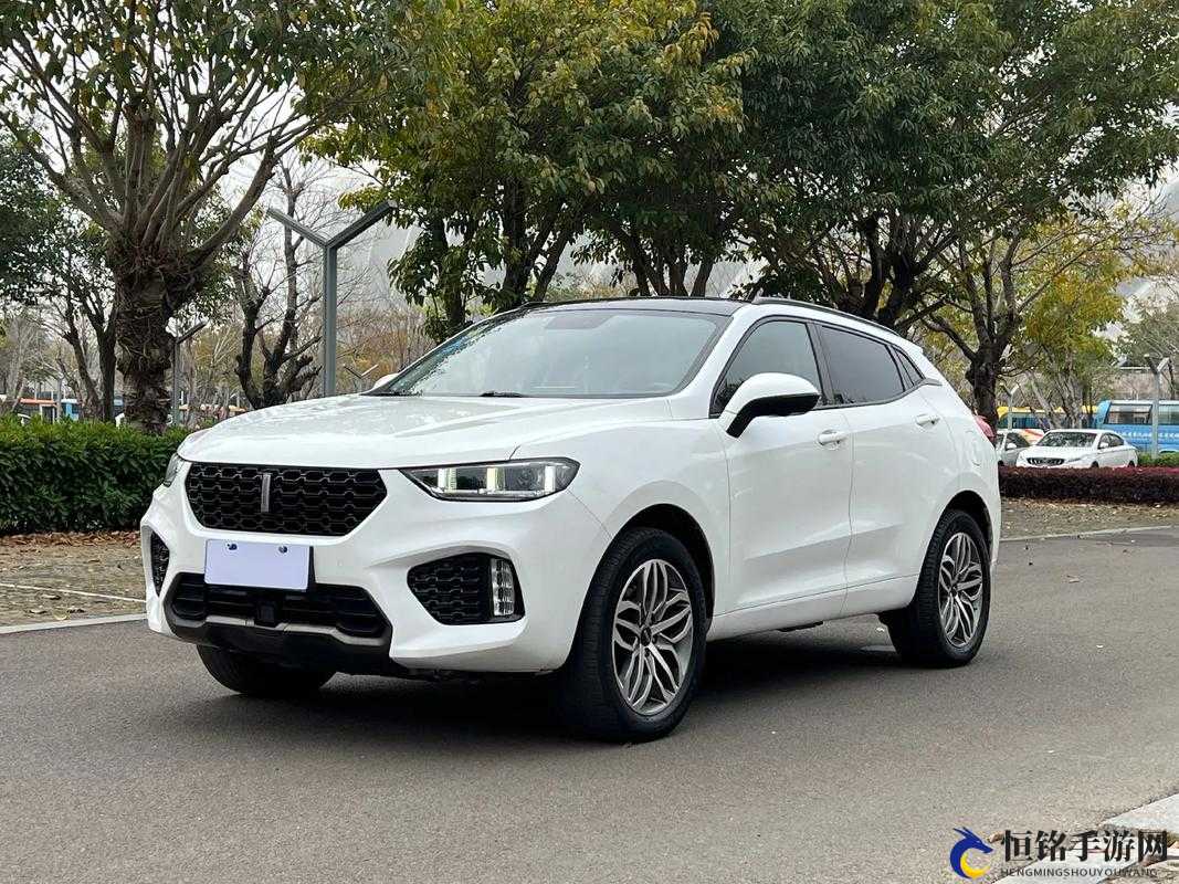 Wey VV5 国产 SUV：颜值与实力并存