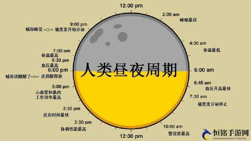 昼夜更替 12H：探索自然的奇妙节律