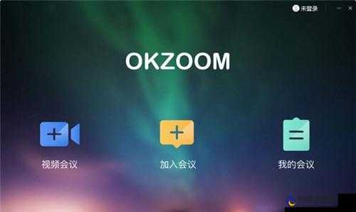 Zoom 人马 OKZOOM 功能介绍：高清视频会议，流畅互动体验