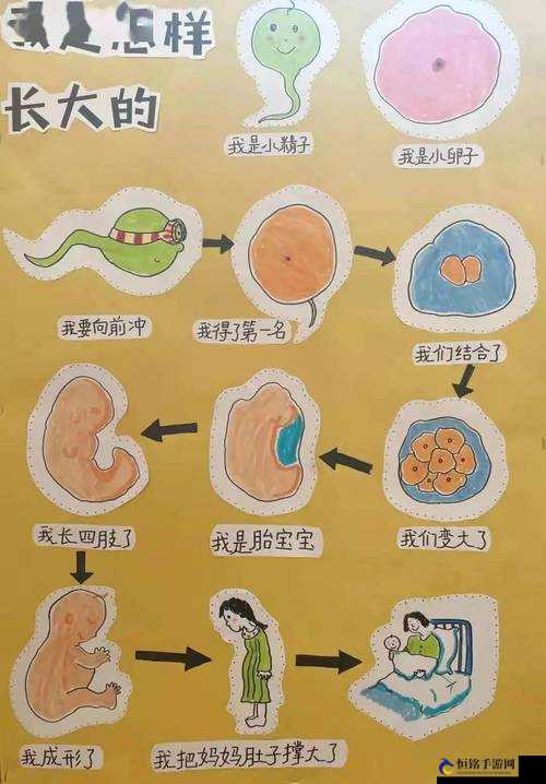 壮丽老少配 COM：探索生命的奥秘